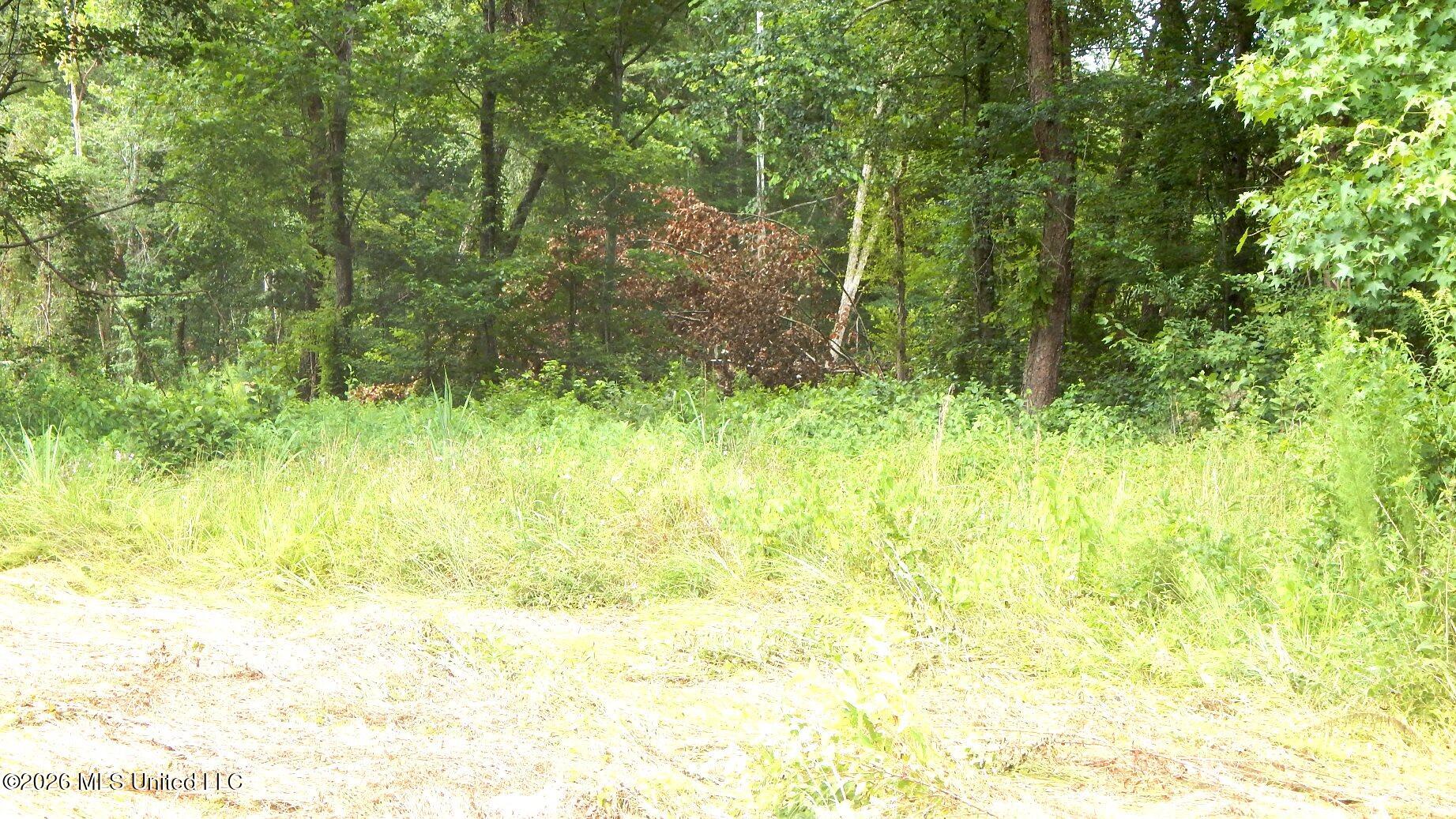 590 County Road 247 Property Photo 9