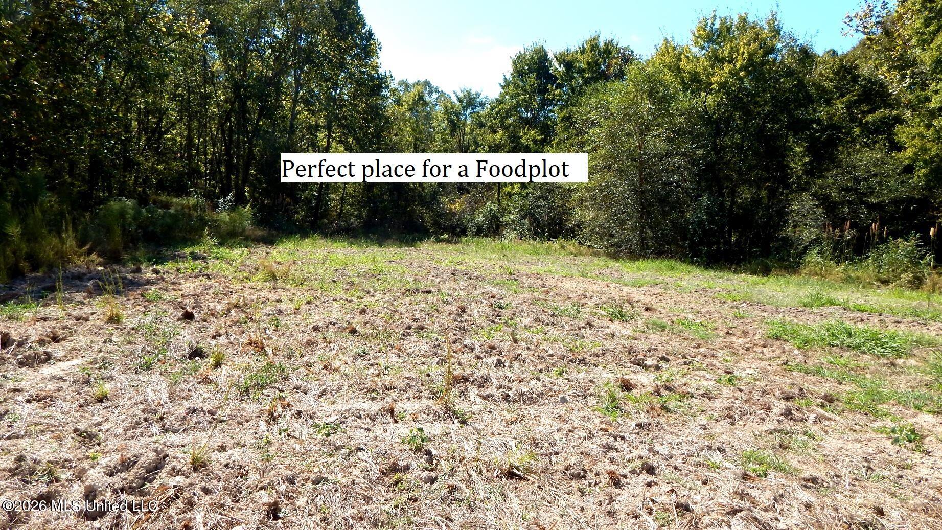 590 County Road 247 Property Photo 10
