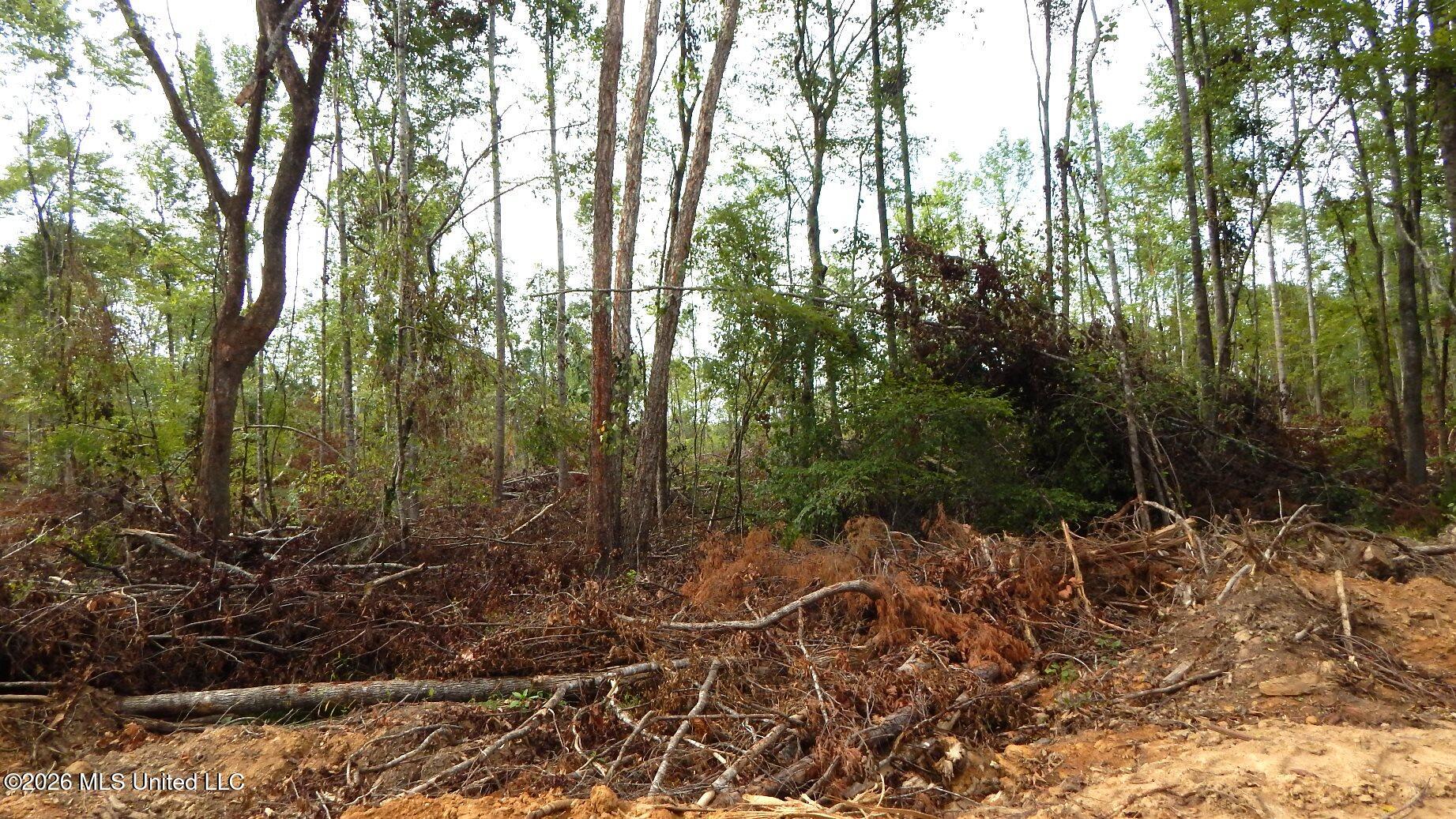 590 County Road 247 Property Photo 11