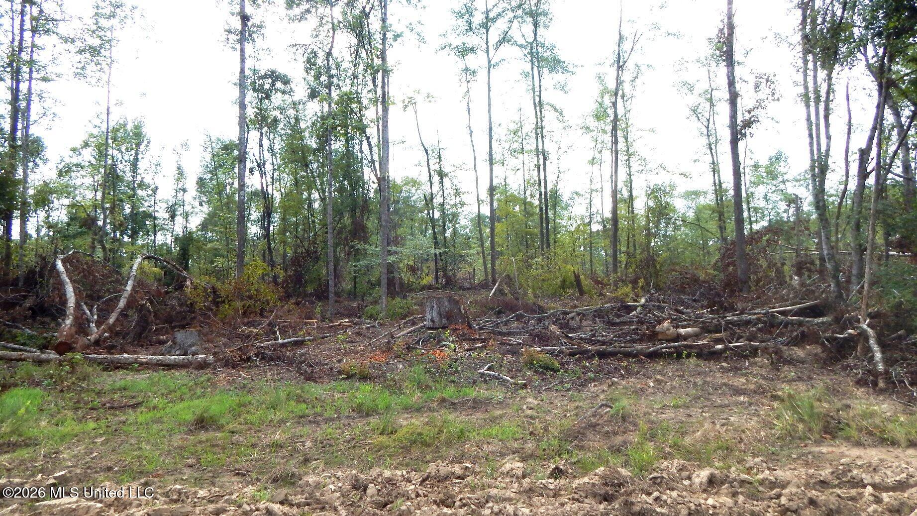 590 County Road 247 Property Photo 12