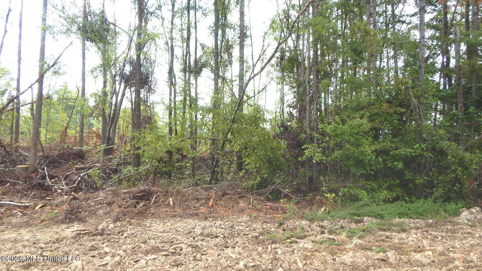 590 County Road 247 Property Photo 13