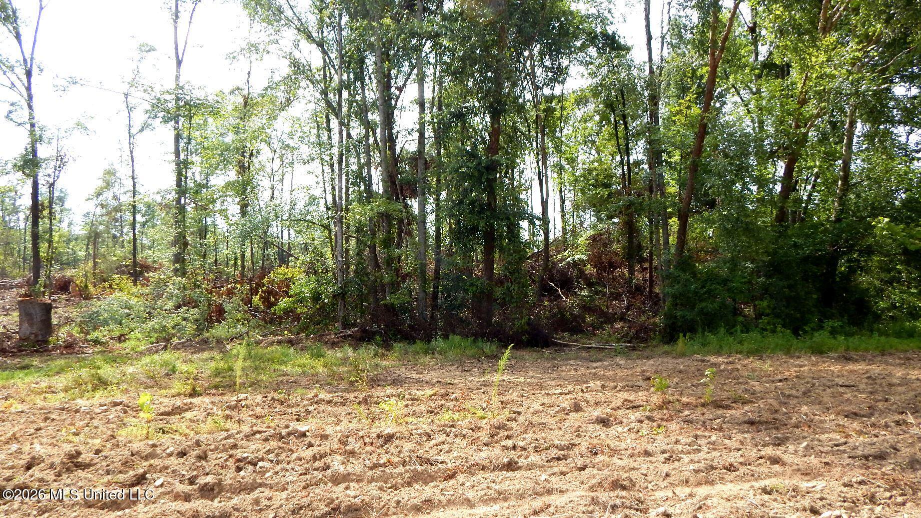 590 County Road 247 Property Photo 14