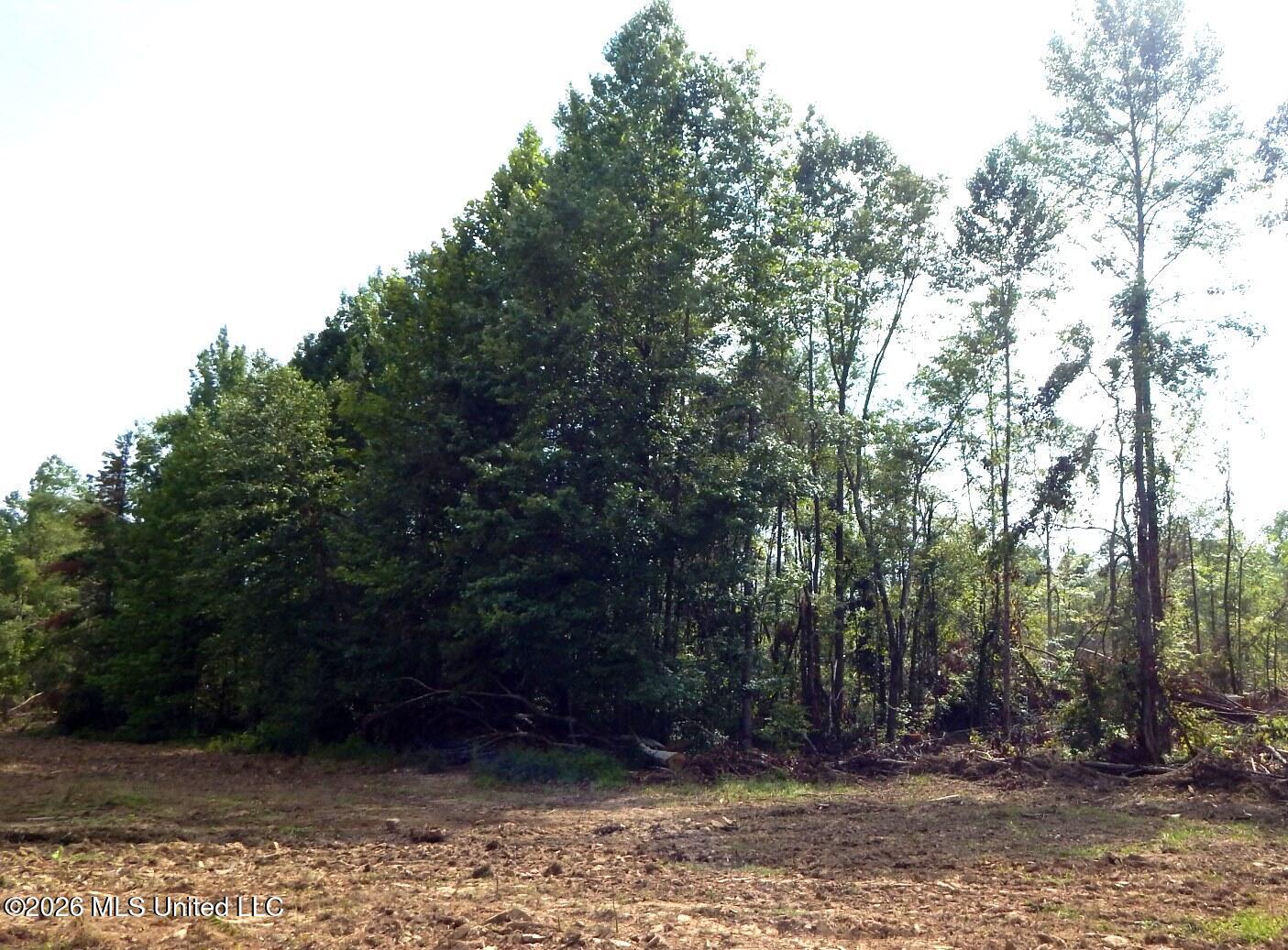 590 County Road 247 Property Photo 15