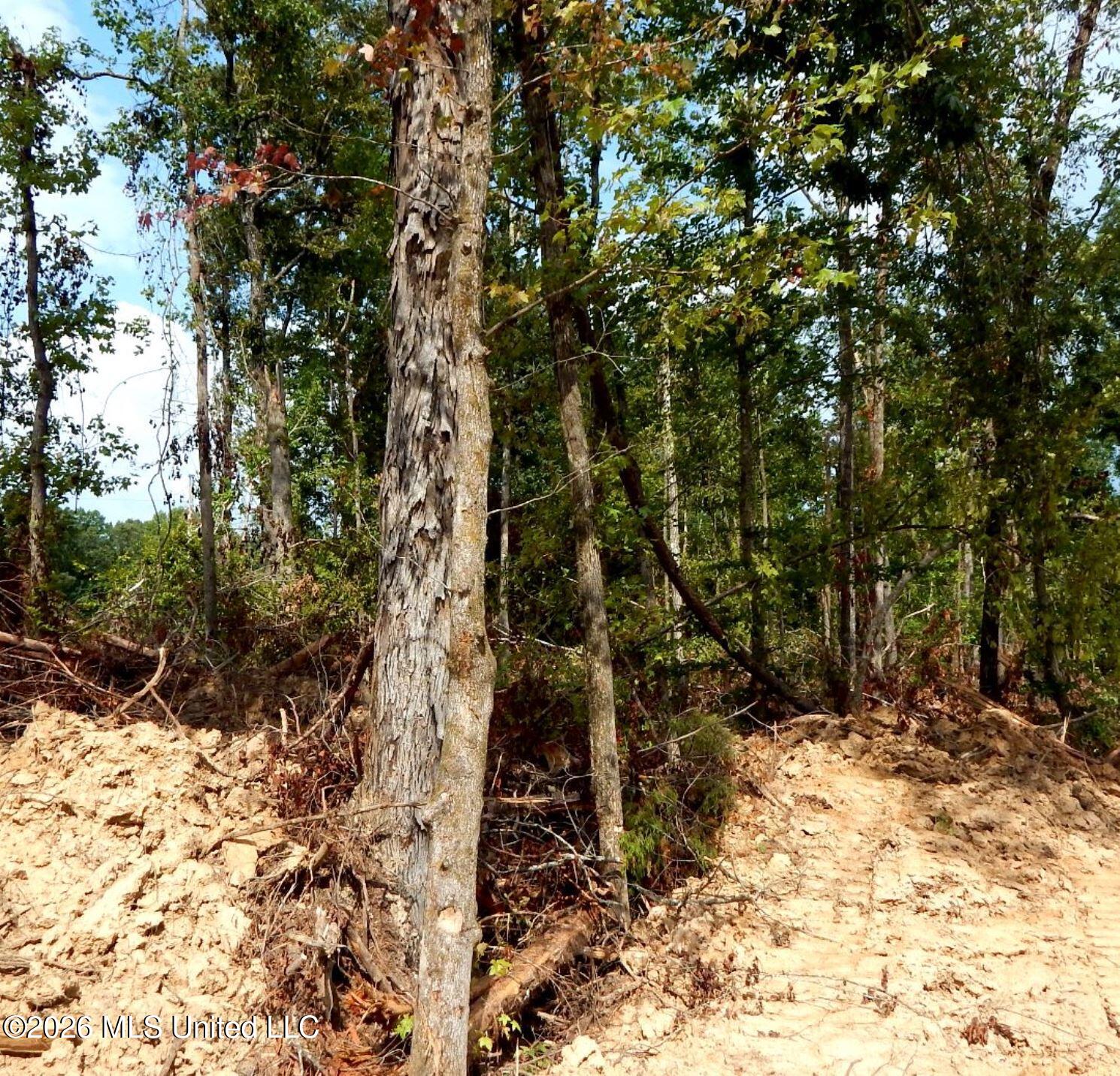 590 County Road 247 Property Photo 16