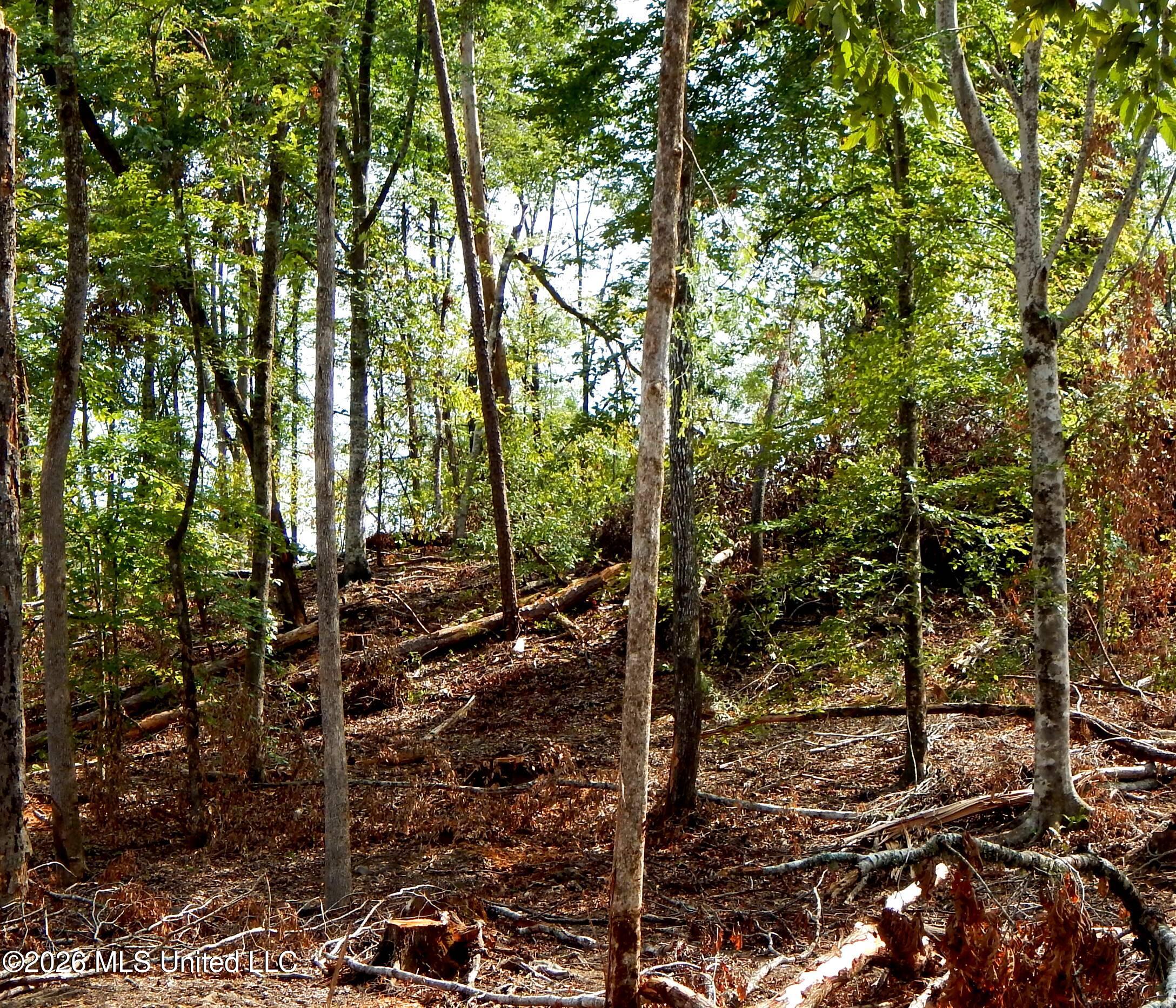 590 County Road 247 Property Photo 19