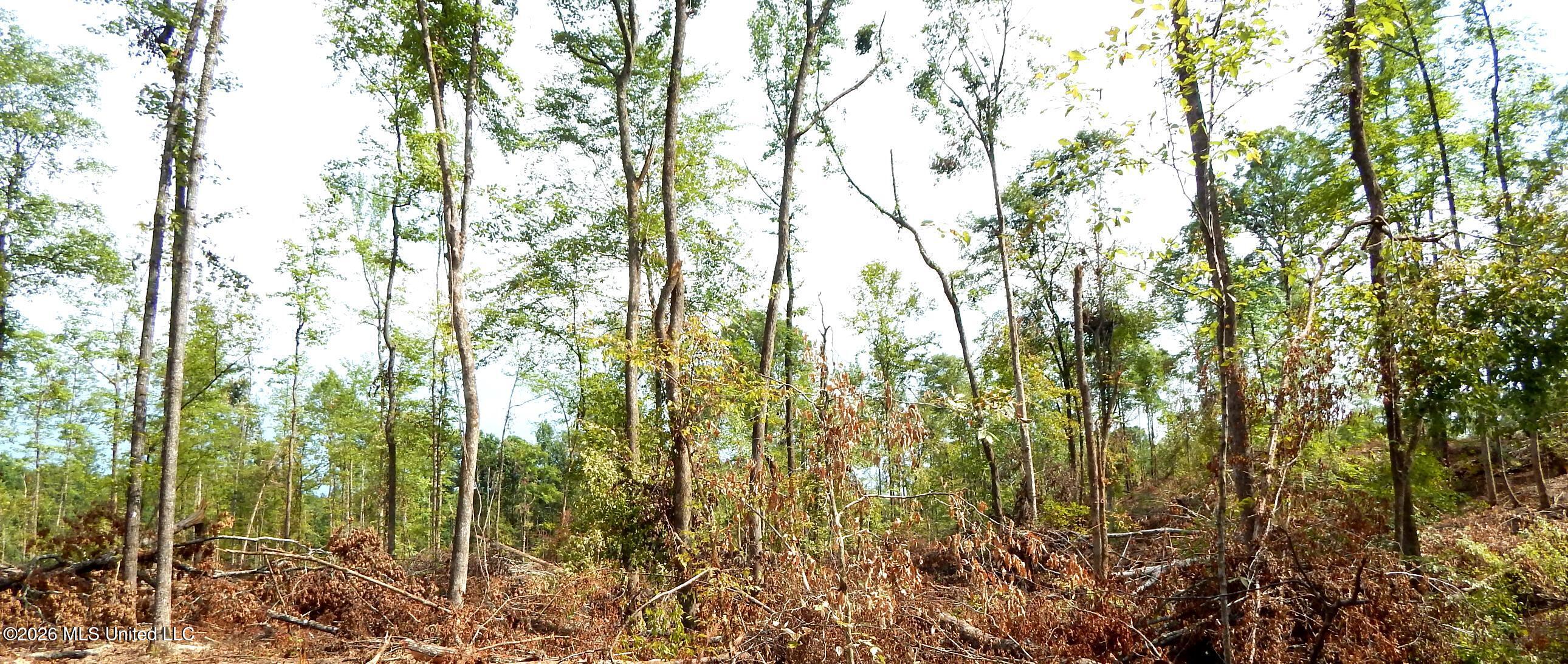 590 County Road 247 Property Photo 20