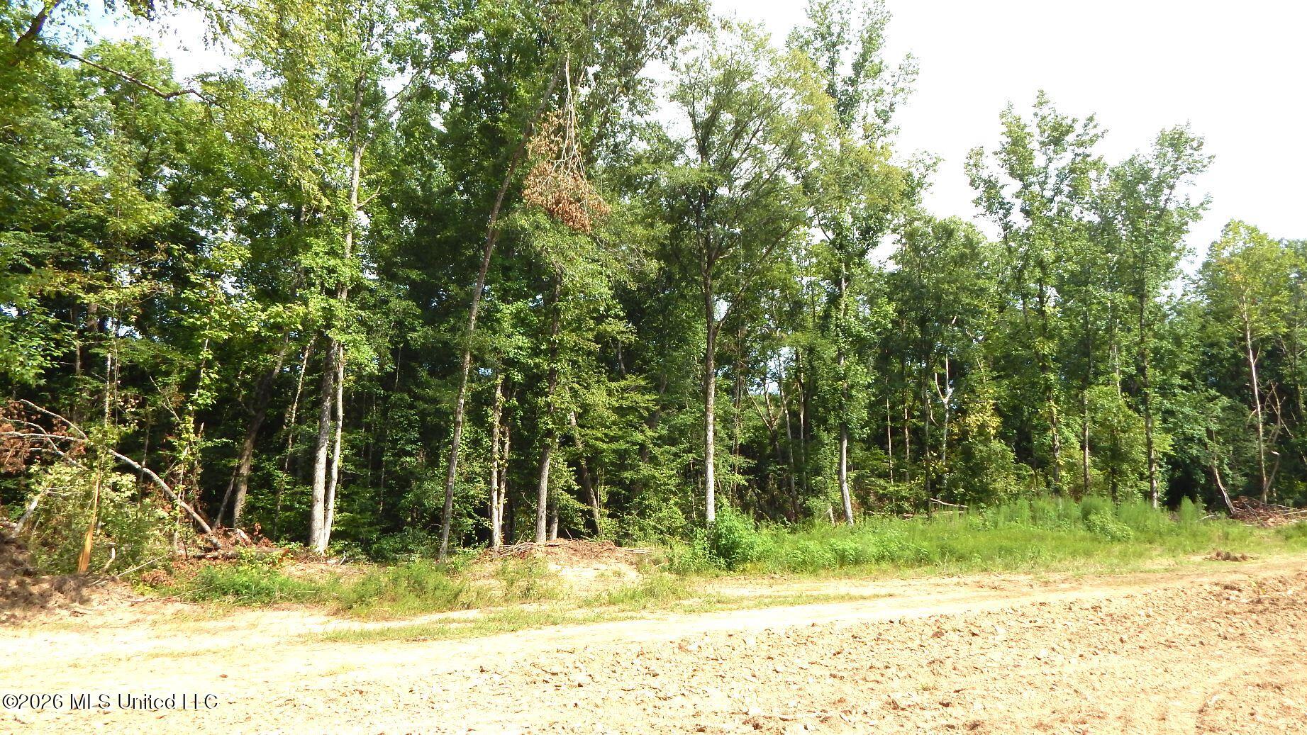 590 County Road 247 Property Photo 22