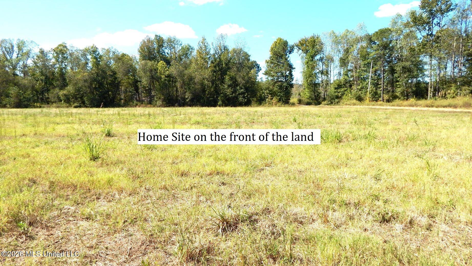 590 County Road 247 Property Photo 22