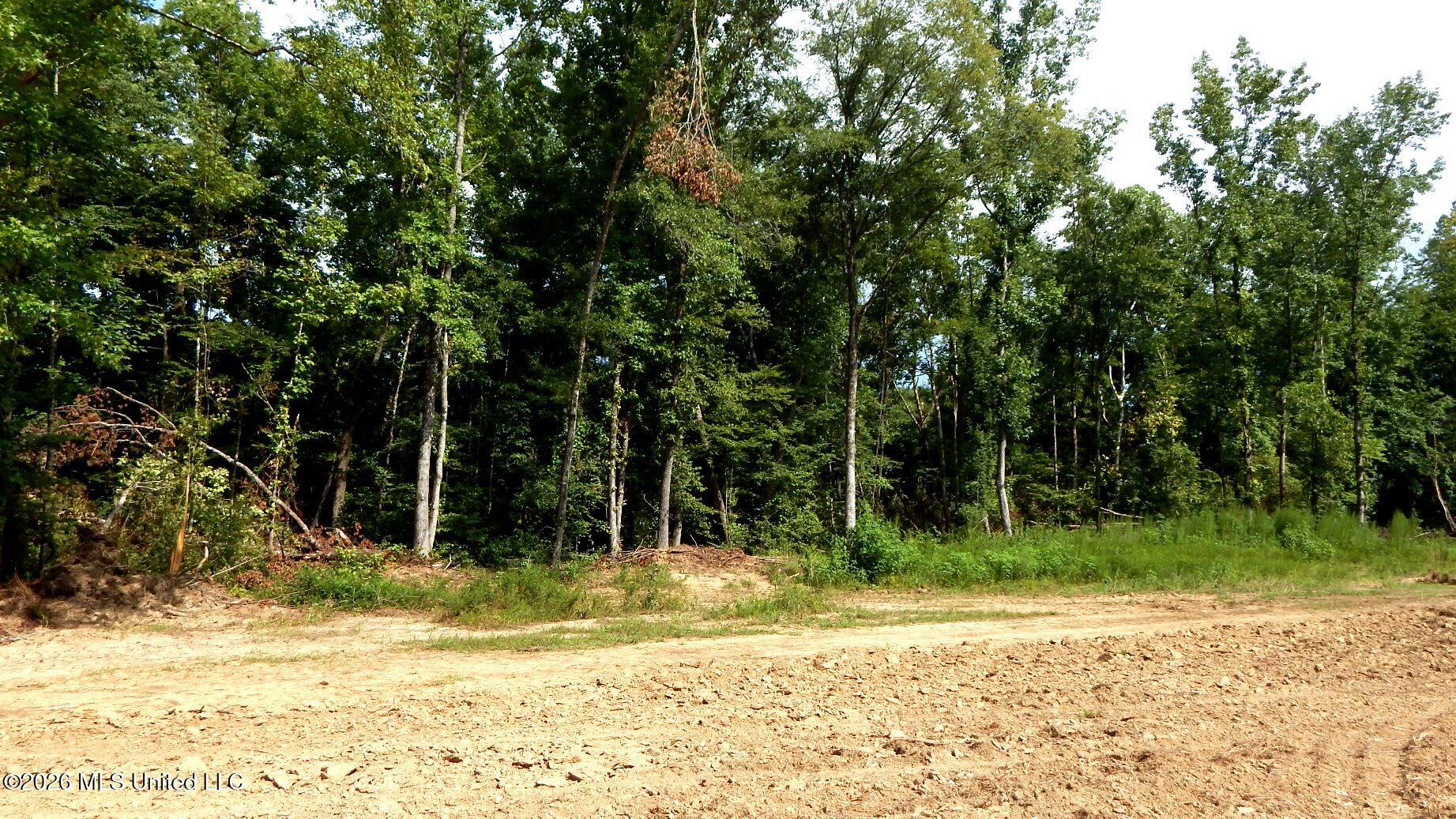 590 County Road 247 Property Photo 23