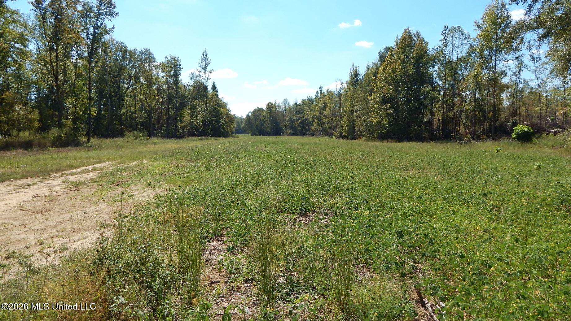 590 County Road 247 Property Photo 44