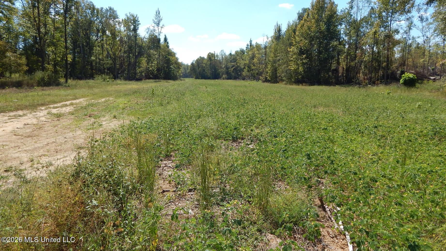 590 County Road 247 Property Photo 45