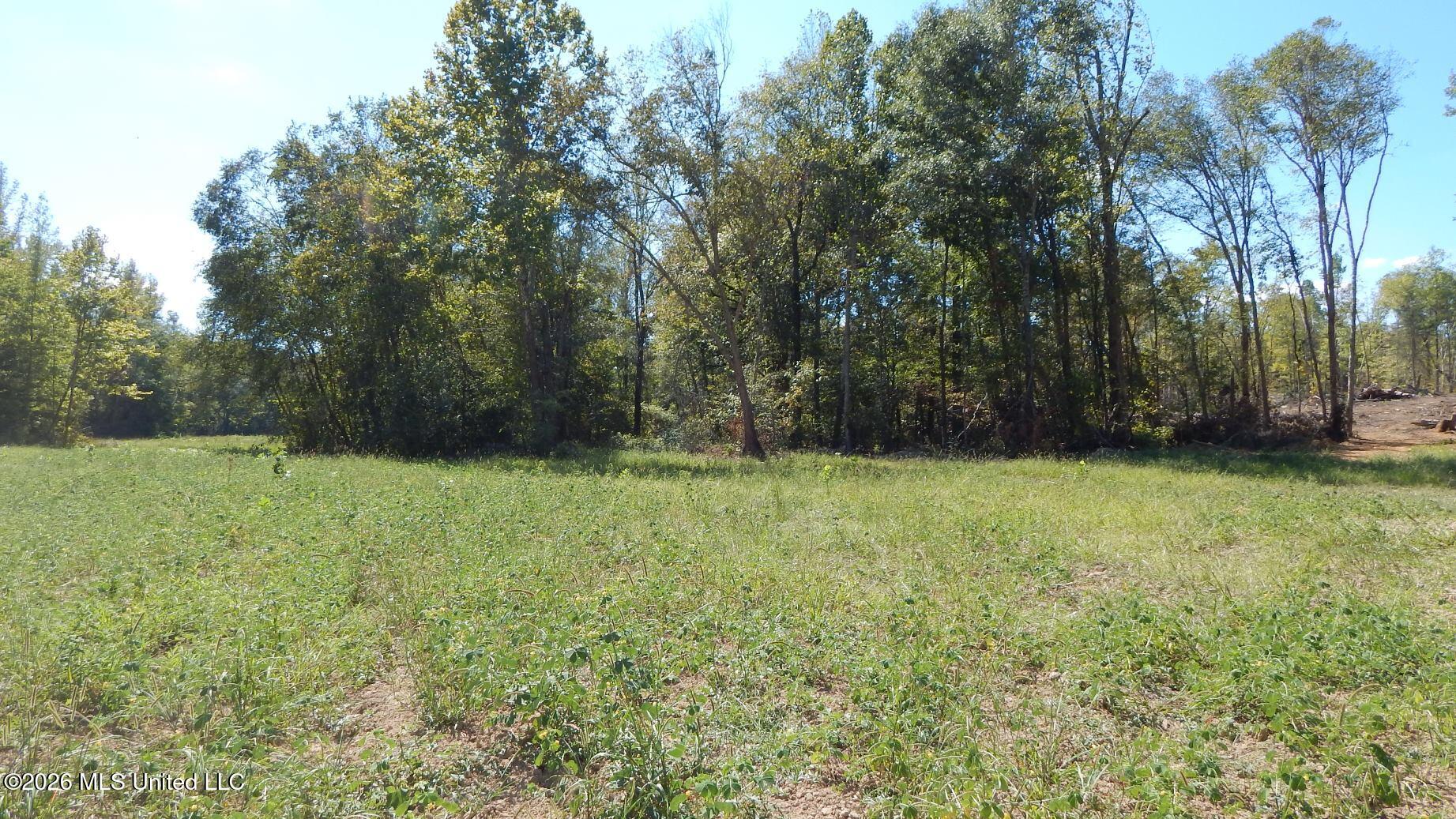 590 County Road 247 Property Photo 46