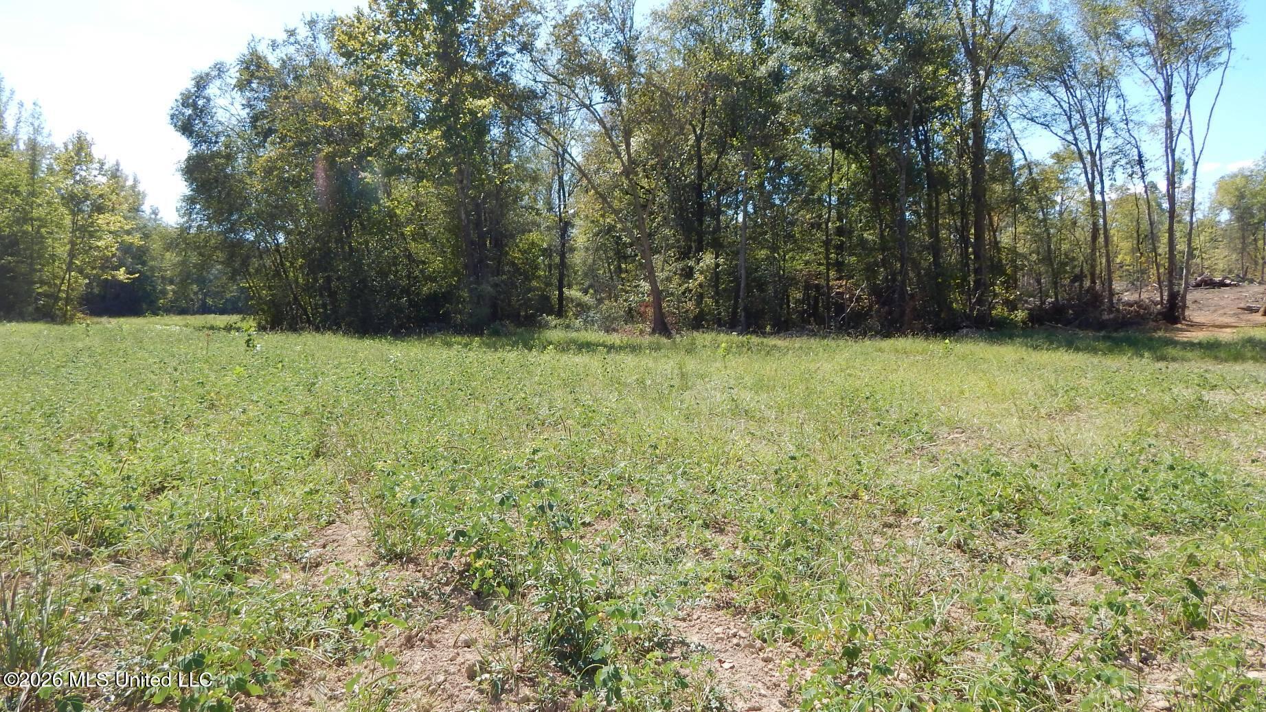 590 County Road 247 Property Photo 47