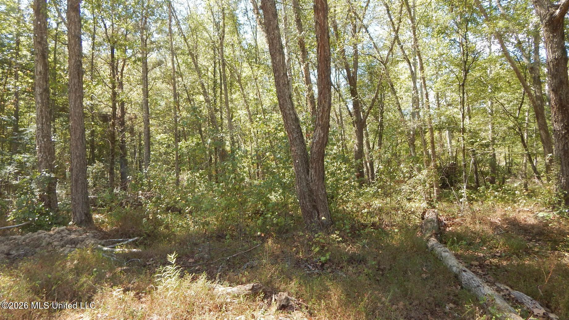 590 County Road 247 Property Photo 48