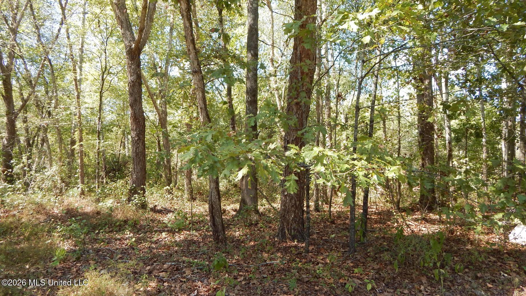 590 County Road 247 Property Photo 49