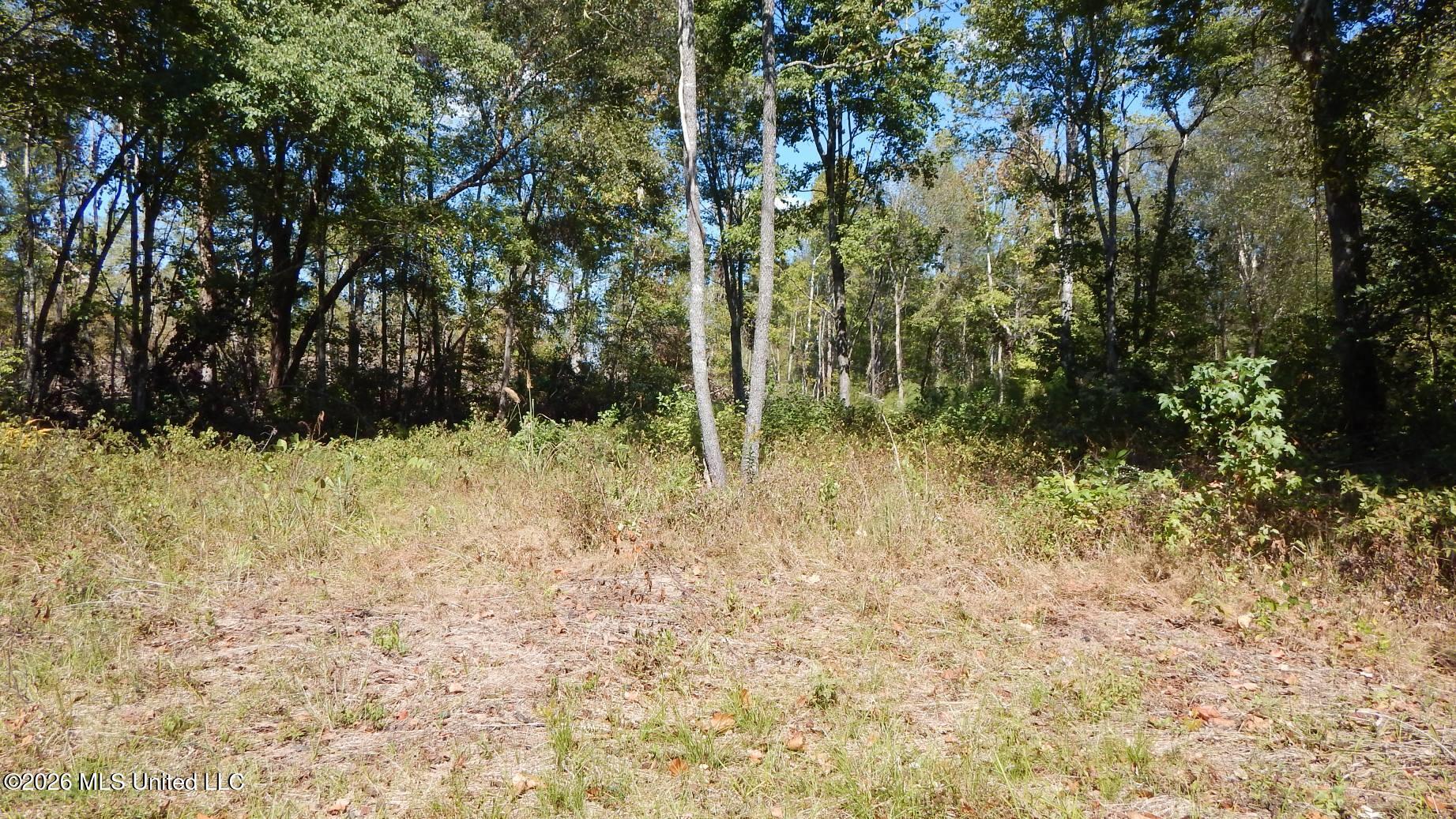 590 County Road 247 Property Photo 51