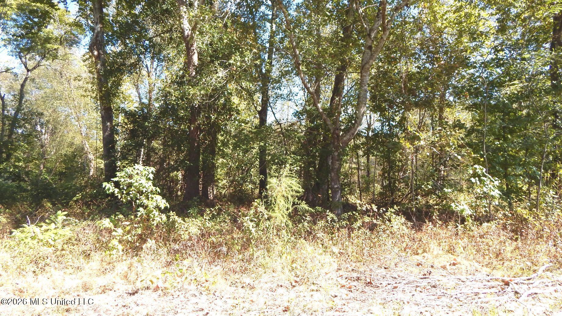 590 County Road 247 Property Photo 52