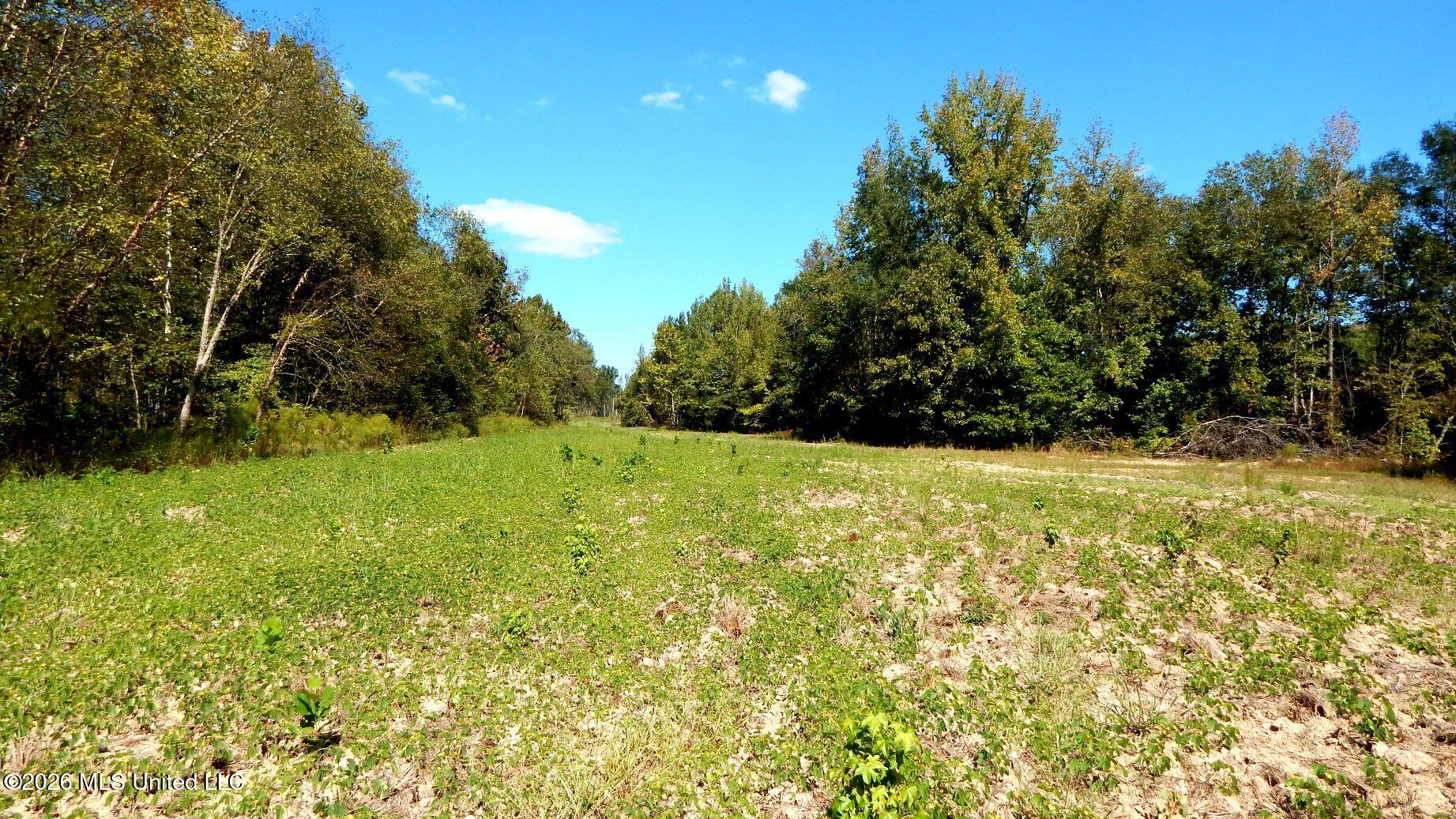 590 County Road 247 Property Photo 53