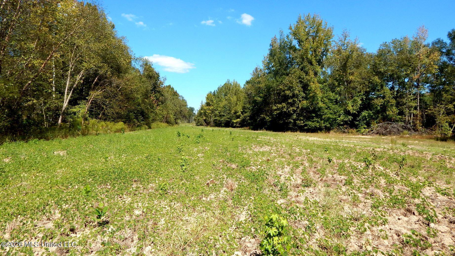 590 County Road 247 Property Photo 54