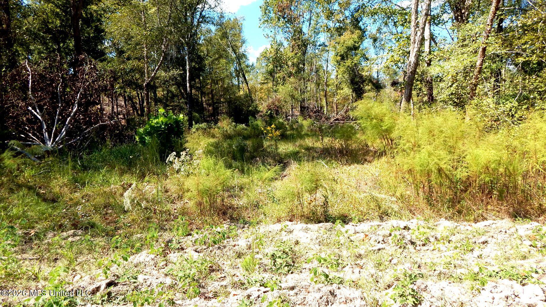 590 County Road 247 Property Photo 55