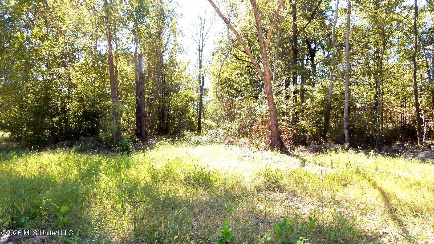 590 County Road 247 Property Photo 56