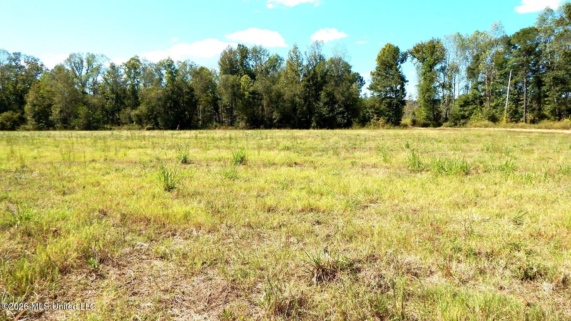 590 County Road 247 Property Photo 57