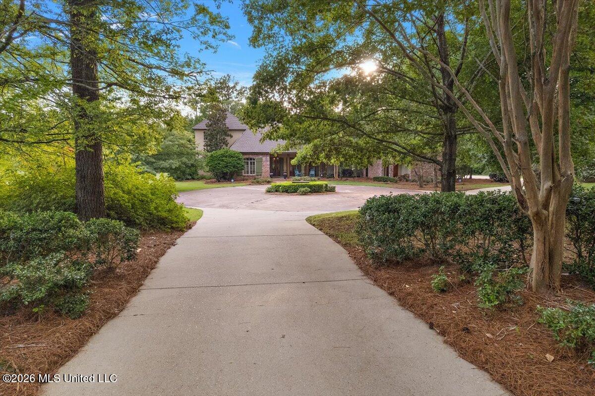 341 Johnstone Drive Property Photo 1
