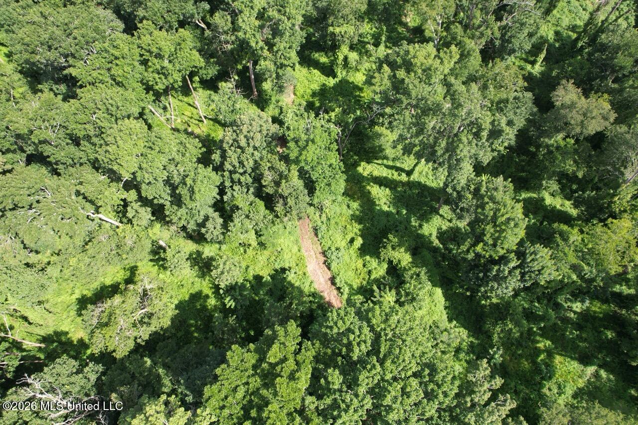 2530 Cat Island Road Property Photo 1