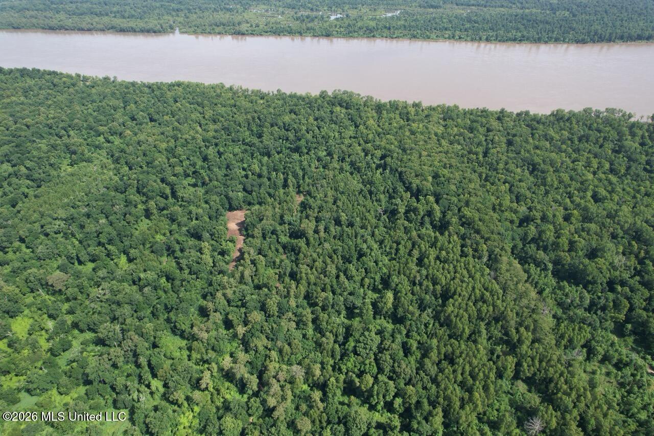 2530 Cat Island Road Property Photo 5
