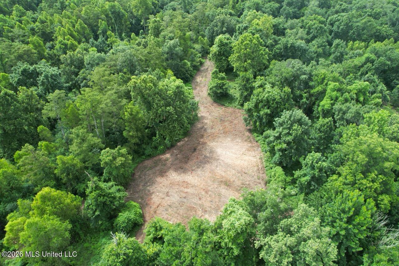 2530 Cat Island Road Property Photo 13
