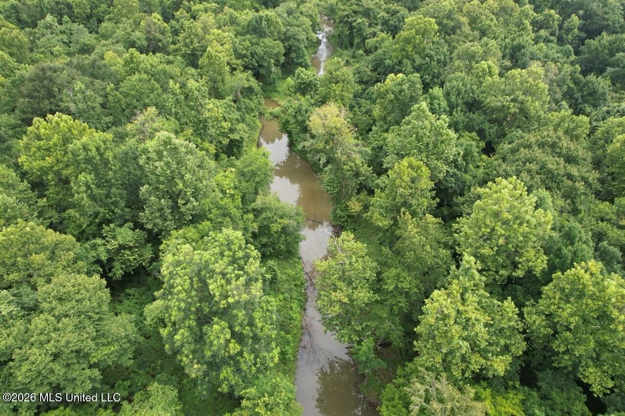 2530 Cat Island Road Property Photo 23
