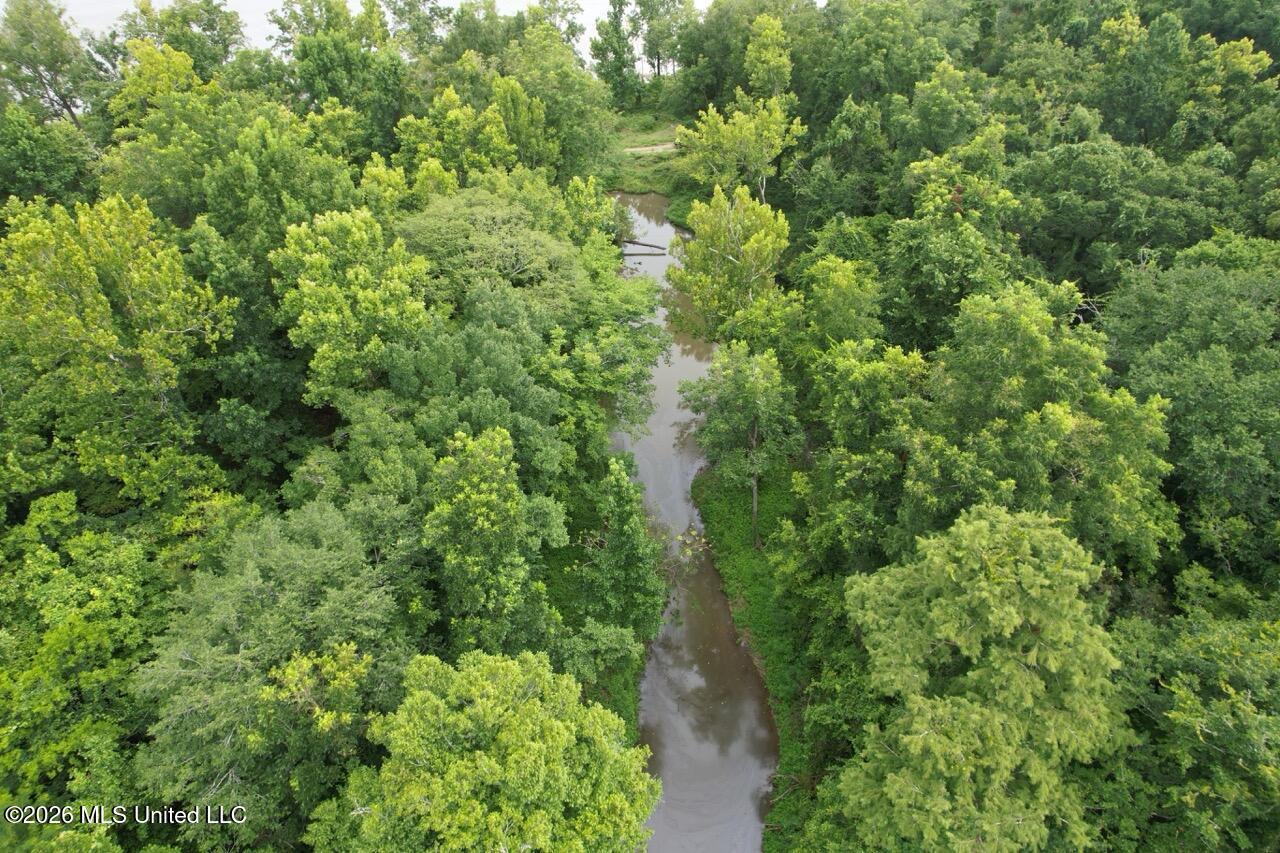 2530 Cat Island Road Property Photo 25