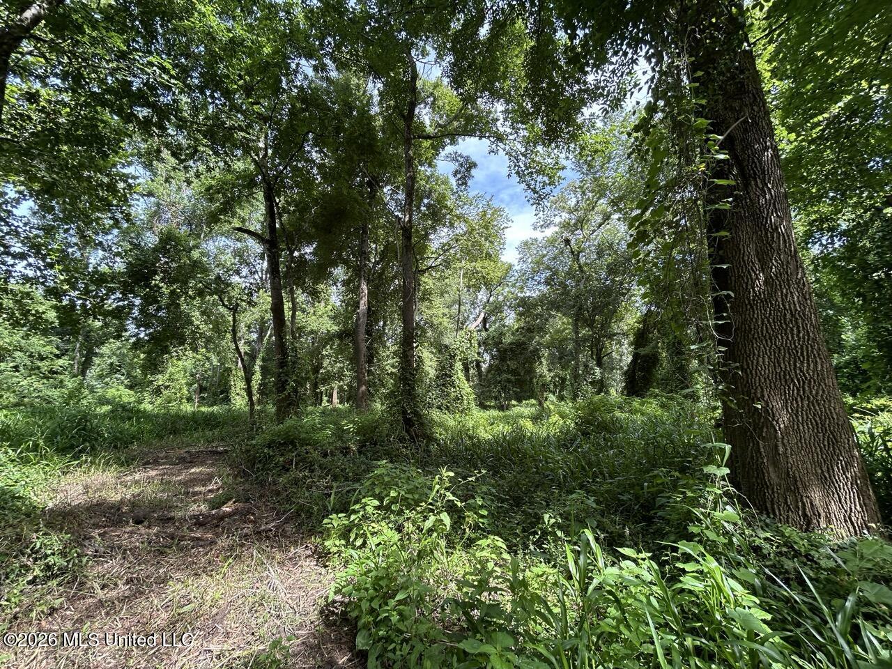 2530 Cat Island Road Property Photo 29