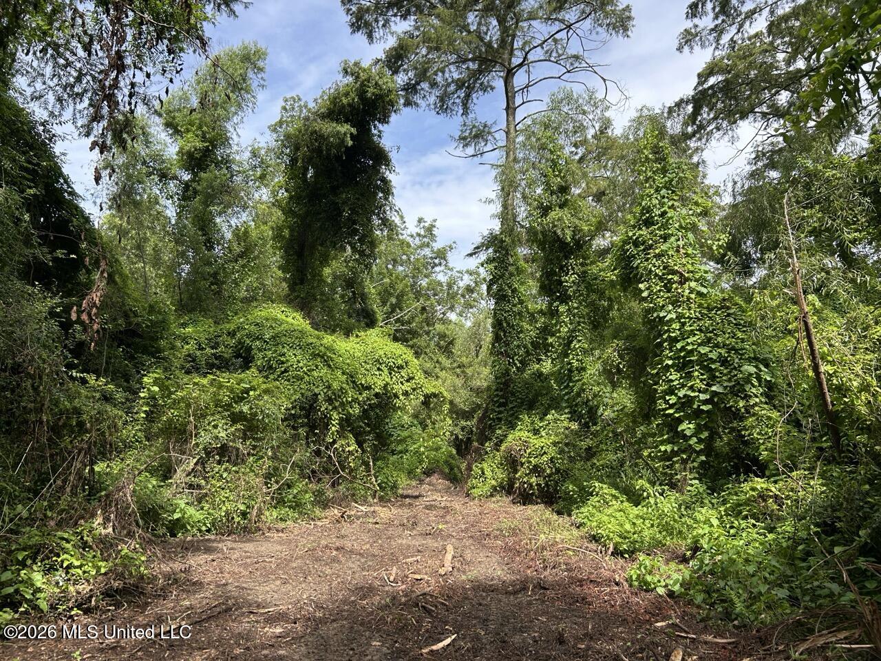 2530 Cat Island Road Property Photo 33