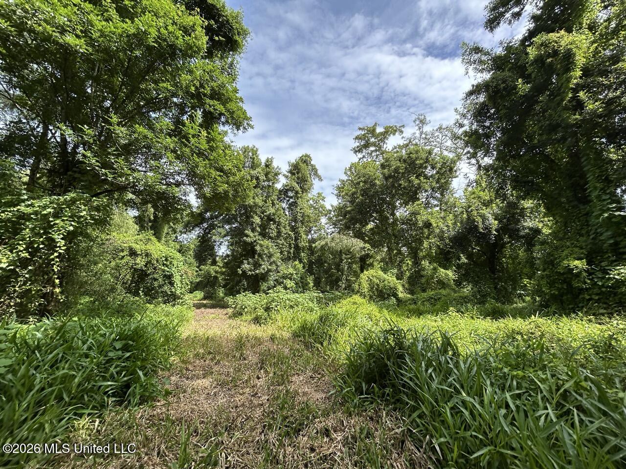 2530 Cat Island Road Property Photo 35