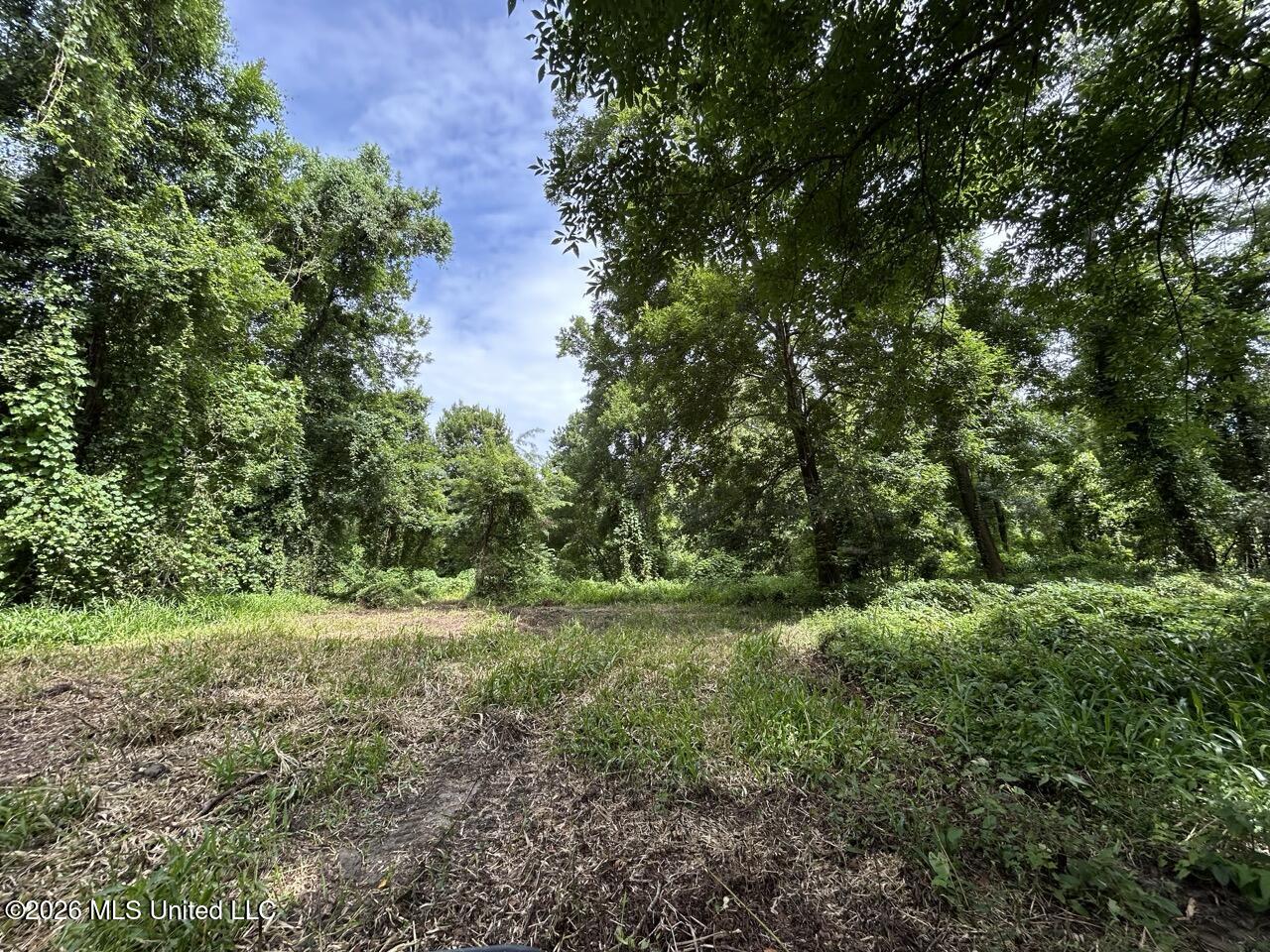 2530 Cat Island Road Property Photo 36