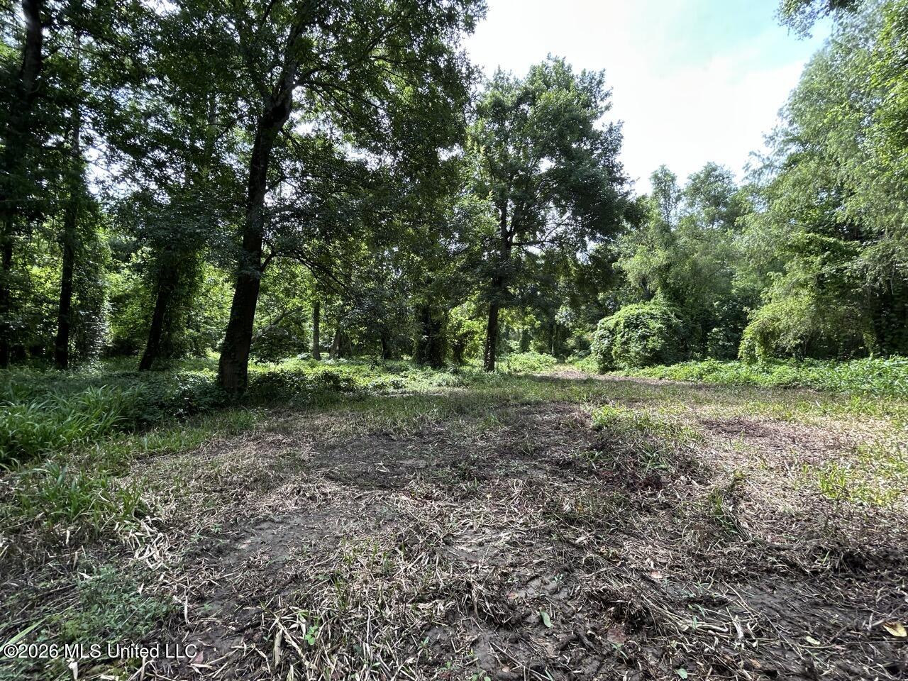 2530 Cat Island Road Property Photo 37