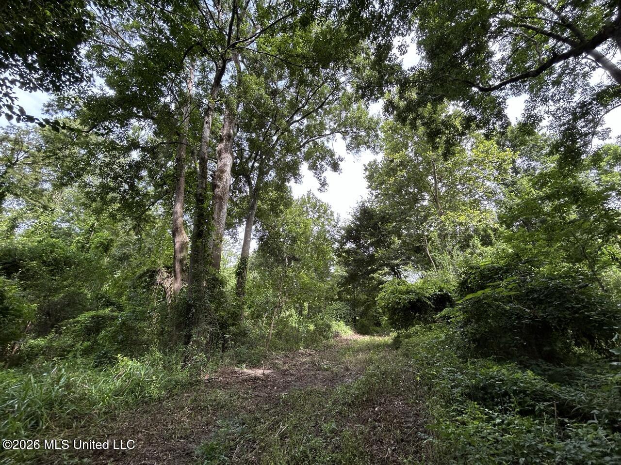 2530 Cat Island Road Property Photo 38