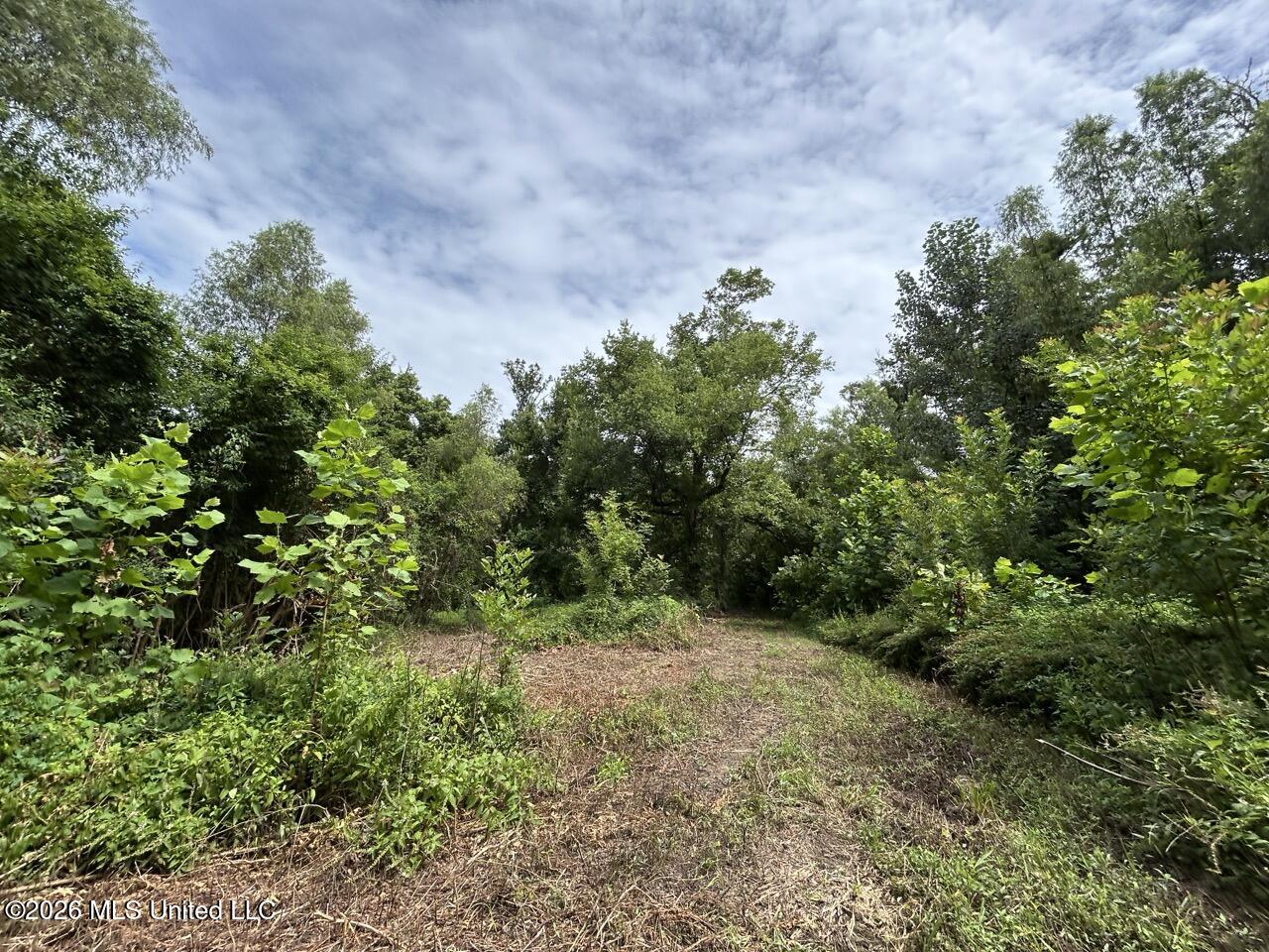 2530 Cat Island Road Property Photo 39