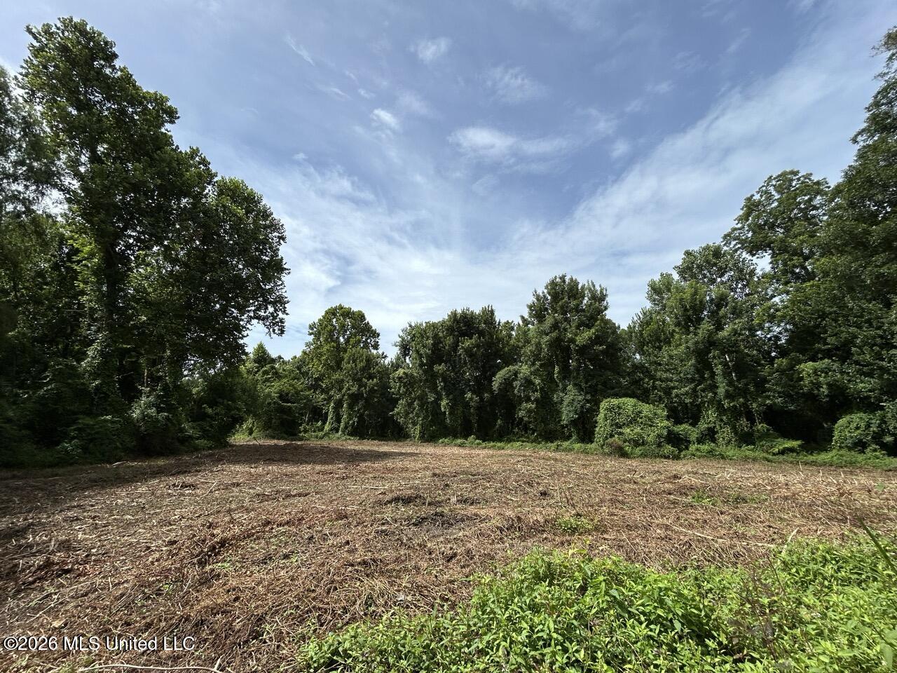 2530 Cat Island Road Property Photo 40