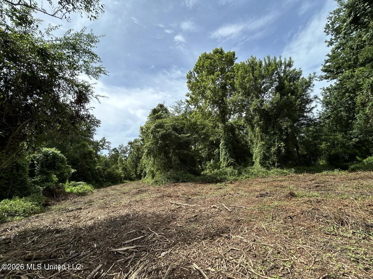 2530 Cat Island Road Property Photo 41