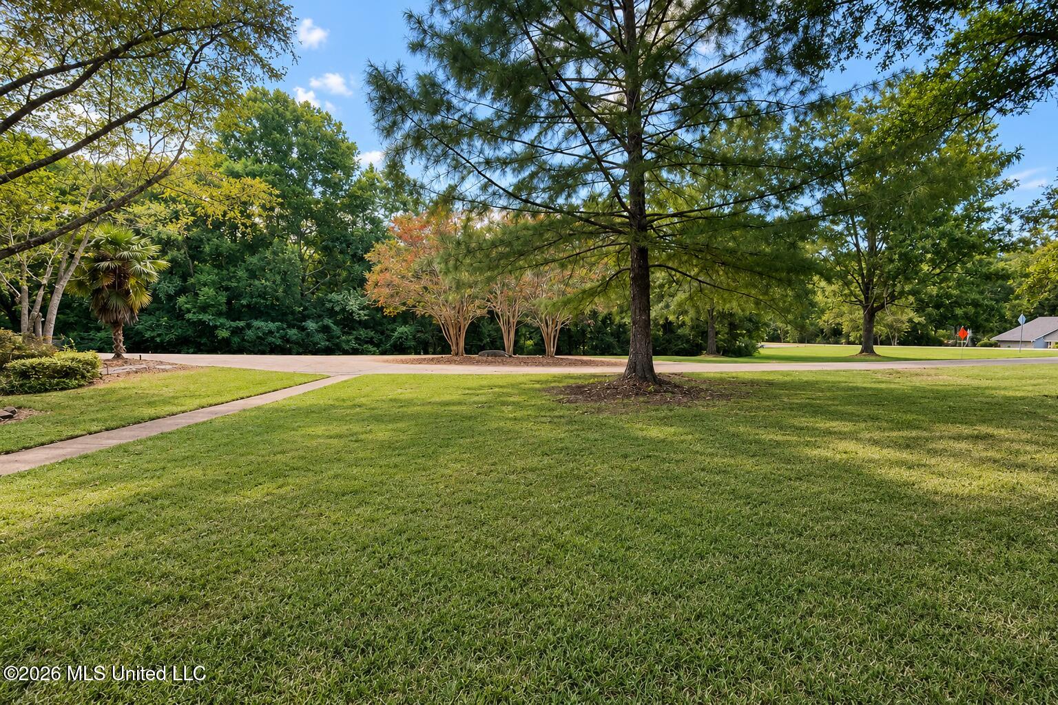 9739 Springridge Road Property Photo 4