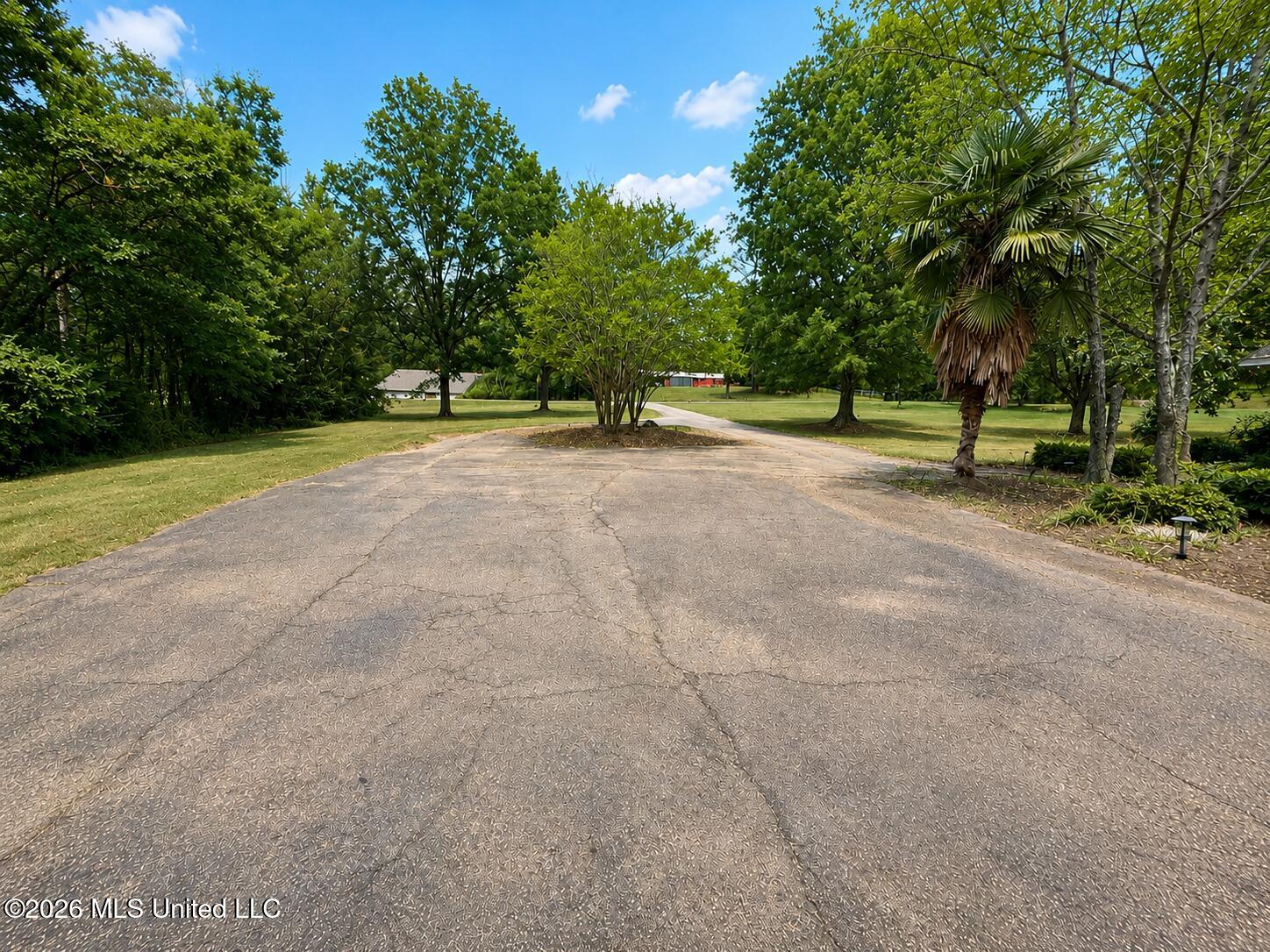 9739 Springridge Road Property Photo 5