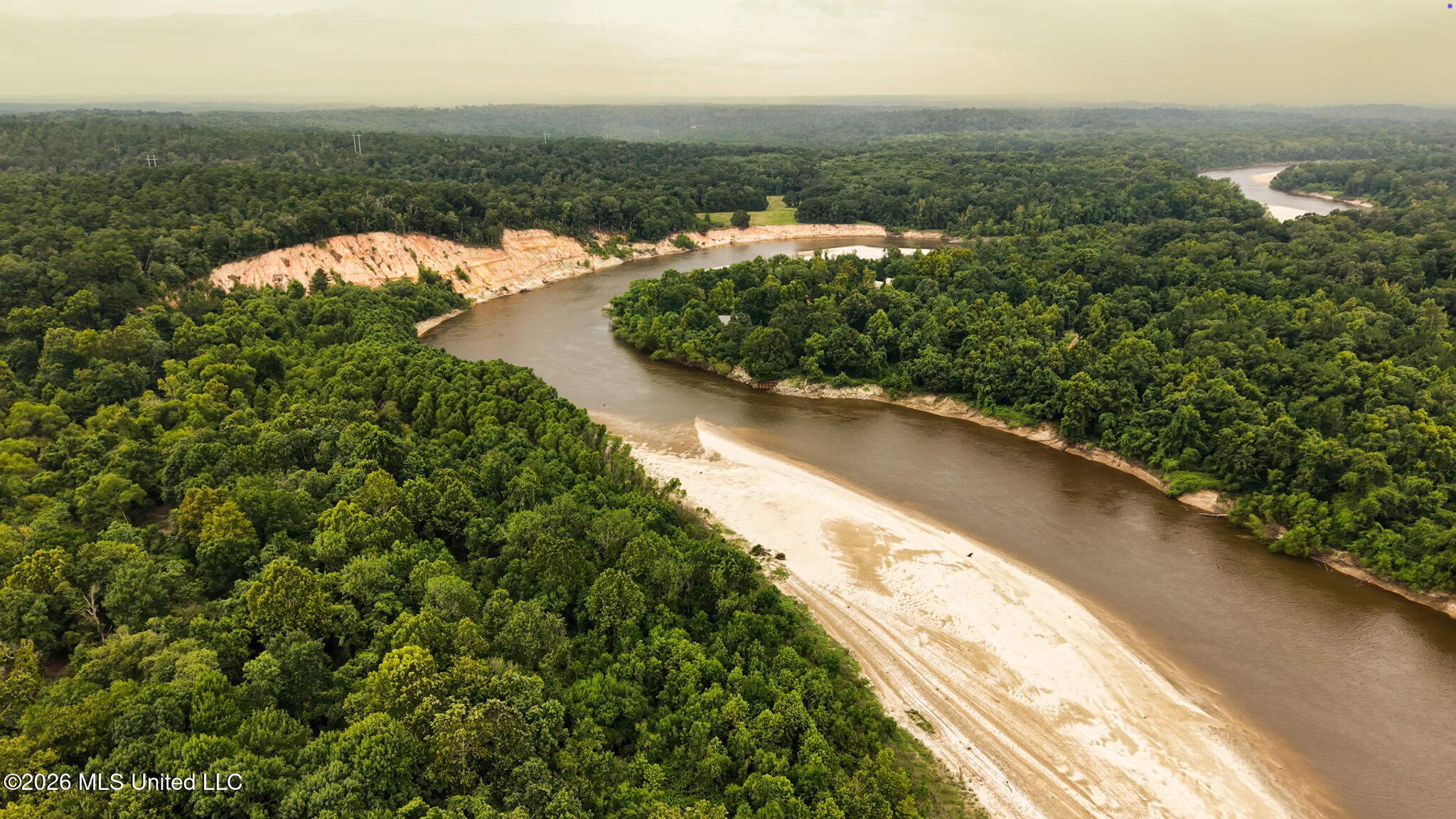 24.92 Acres - Pearl River Property Photo 2