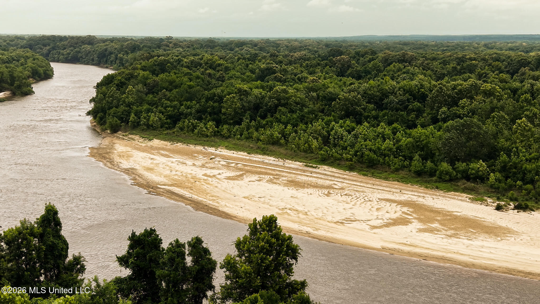 24.92 Acres - Pearl River Property Photo 4