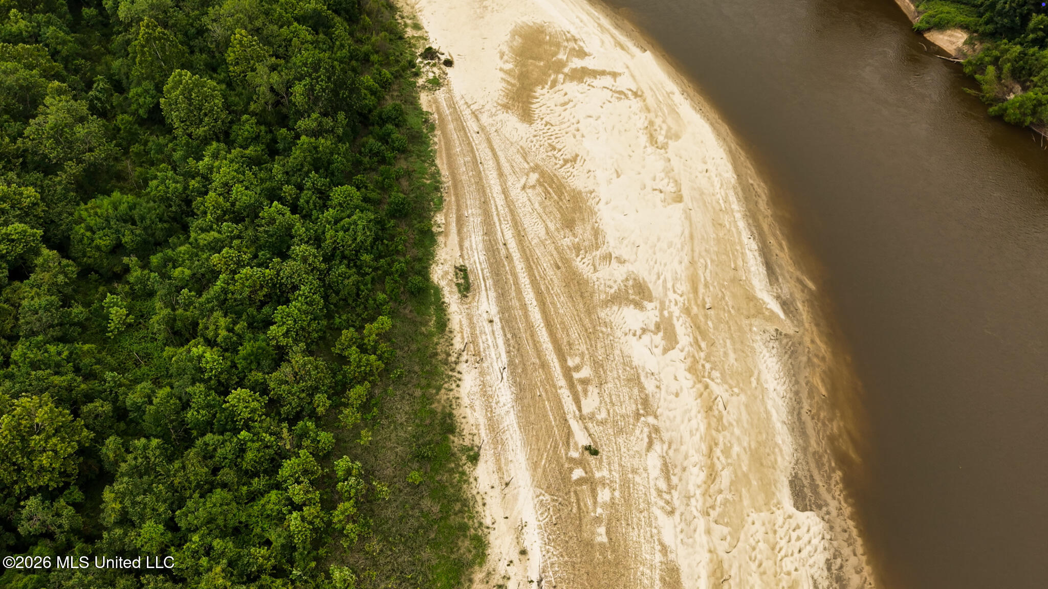 24.92 Acres - Pearl River Property Photo 5