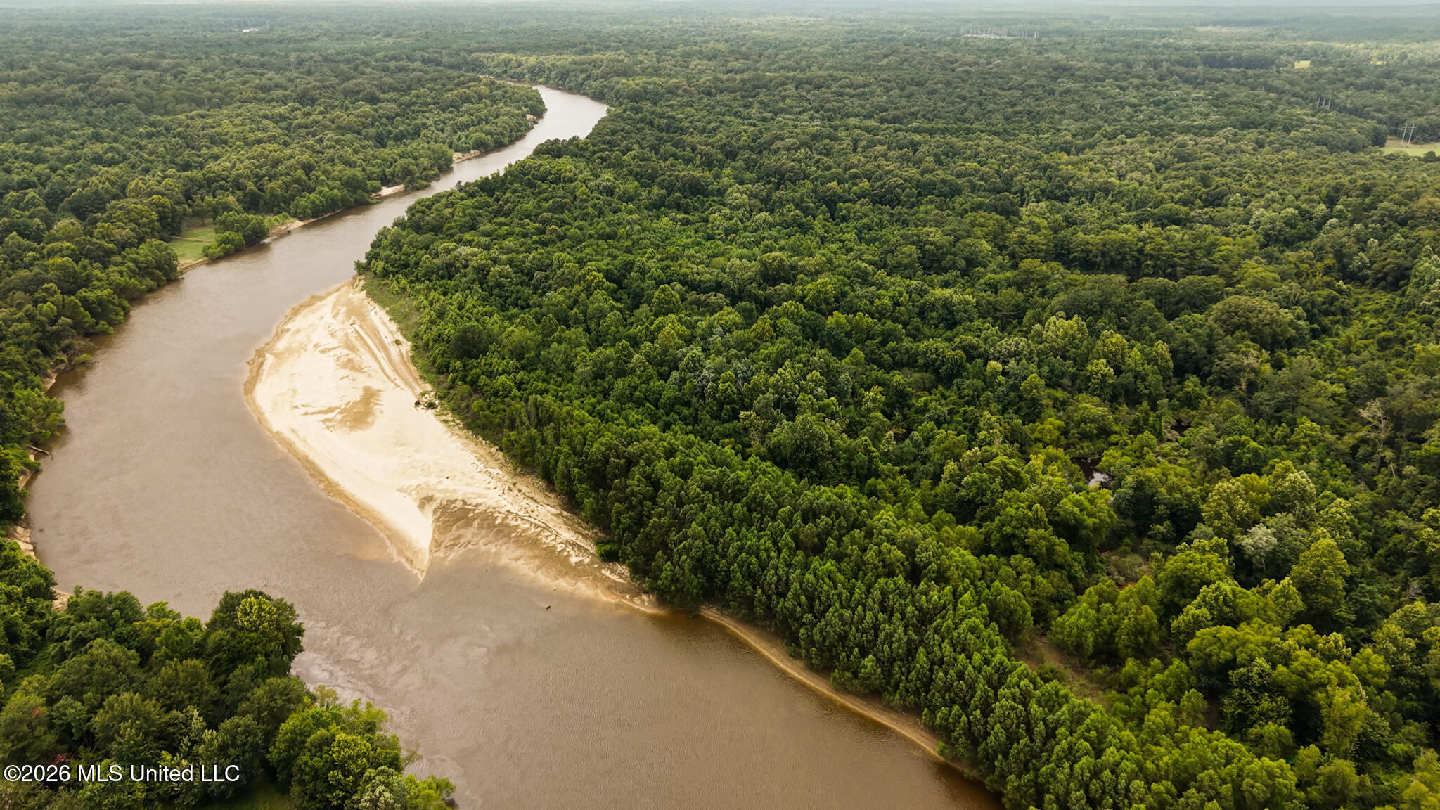 24.92 Acres - Pearl River Property Photo 7
