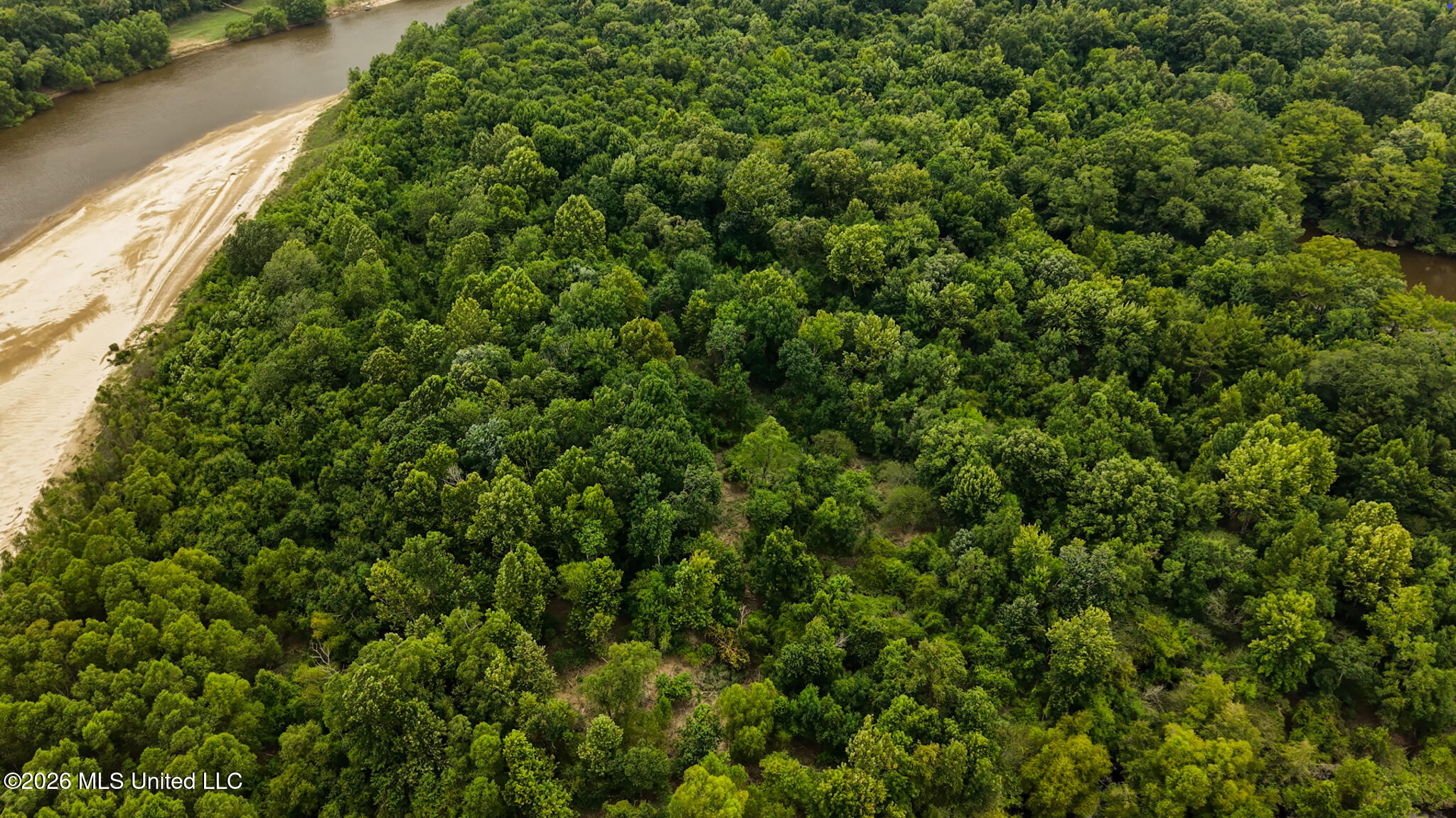 24.92 Acres - Pearl River Property Photo 8