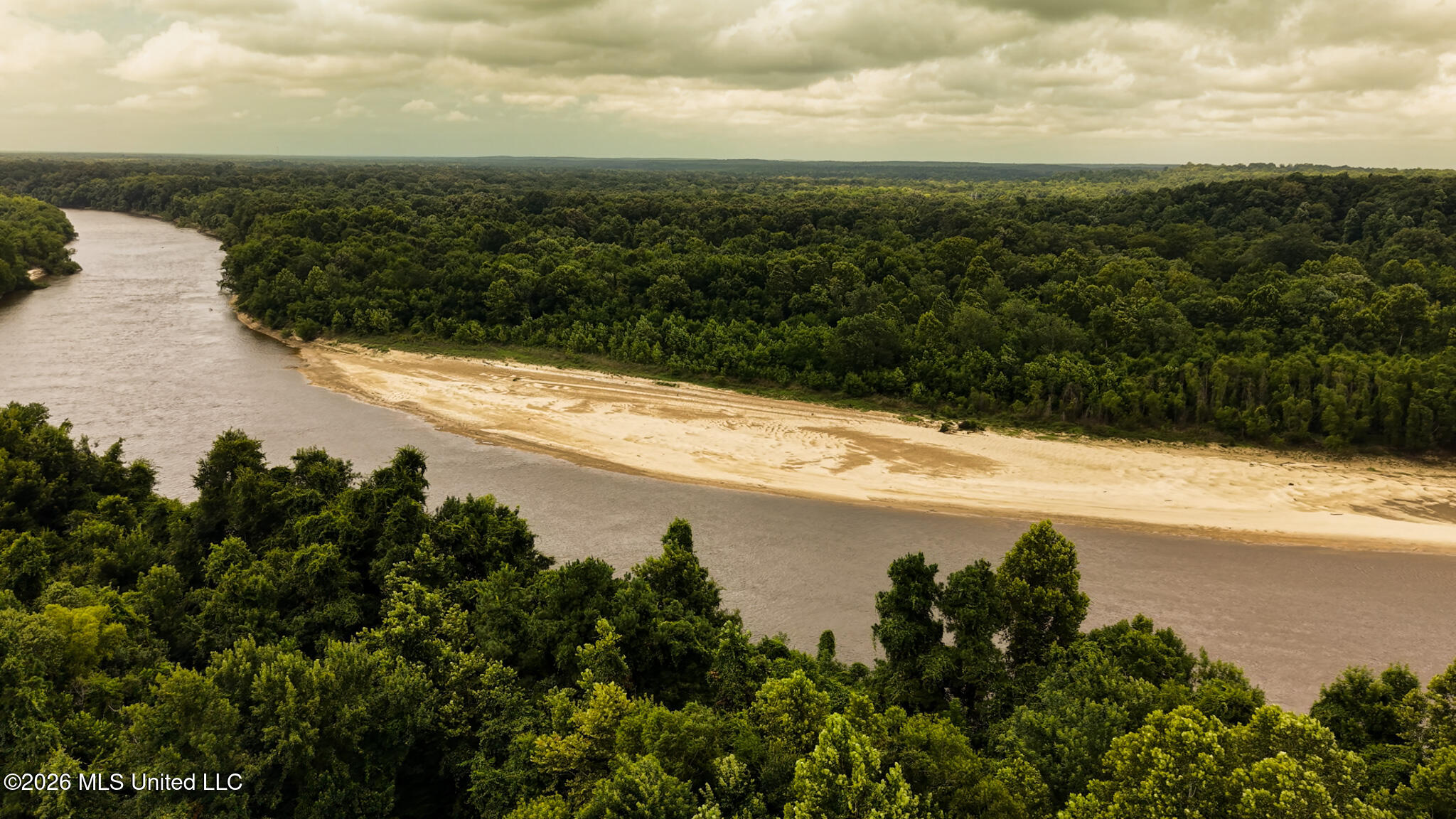 24.92 Acres - Pearl River Property Photo 9