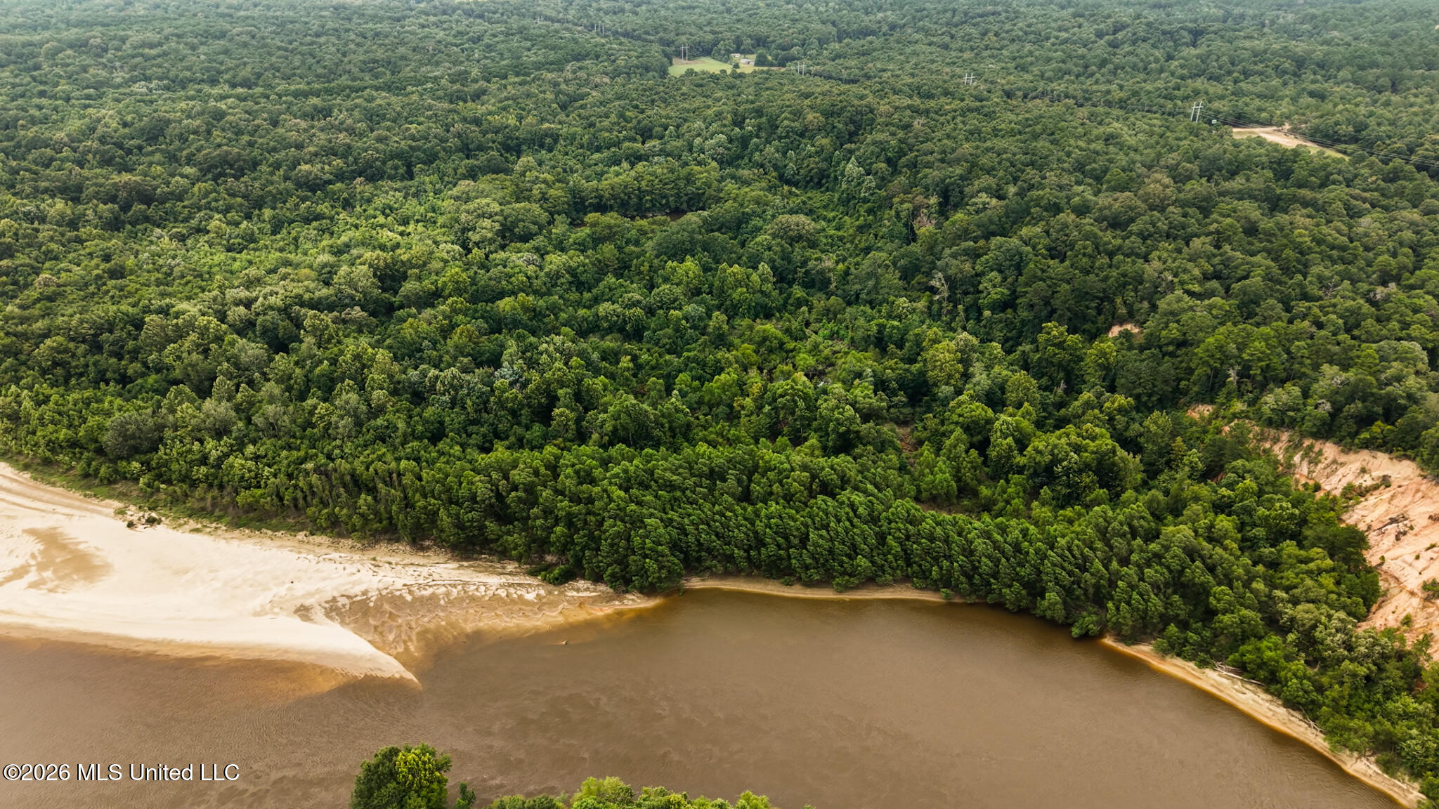 24.92 Acres - Pearl River Property Photo 10